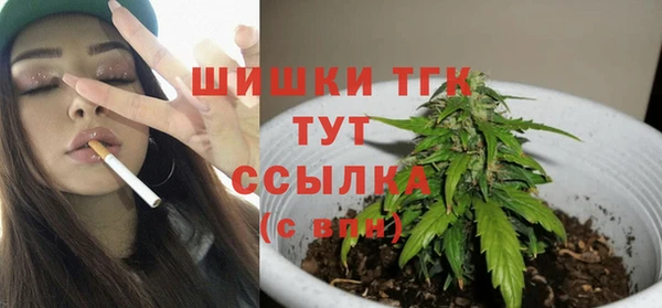 ПСИЛОЦИБИНОВЫЕ ГРИБЫ Арсеньев