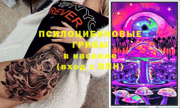ПСИЛОЦИБИНОВЫЕ ГРИБЫ Арсеньев