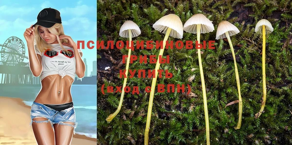 ПСИЛОЦИБИНОВЫЕ ГРИБЫ Арсеньев