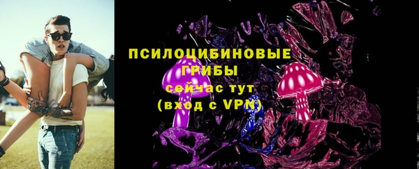 бошки Армянск