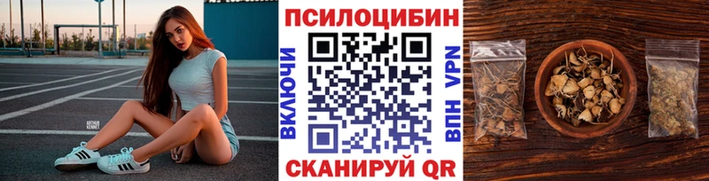 OMG ССЫЛКА Новый Оскол Псилоцибиновые грибы Psilocybine cubensis